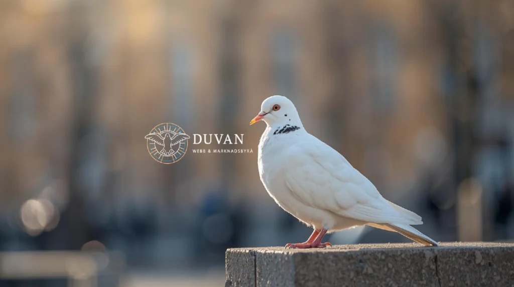 En modern webbyrå i Kungsbacka