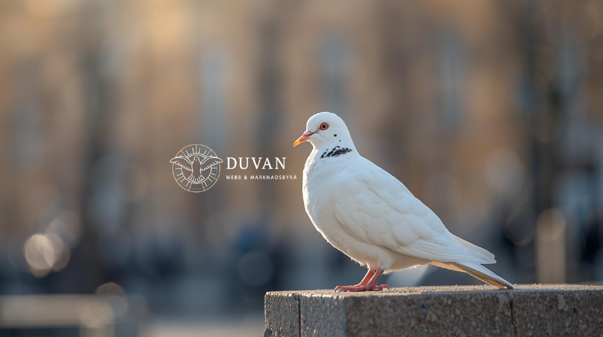 En modern webbyrå i Kungsbacka